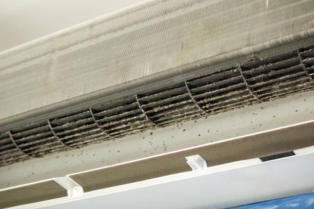 Best Air Duct Inspection  in Independence, MN