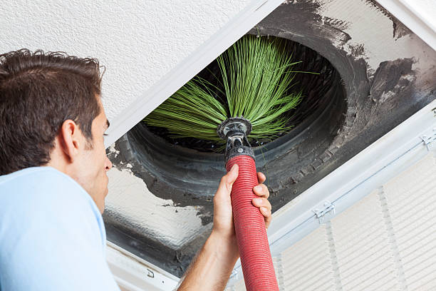 Best HVAC System Cleaning  in Independence, MN
